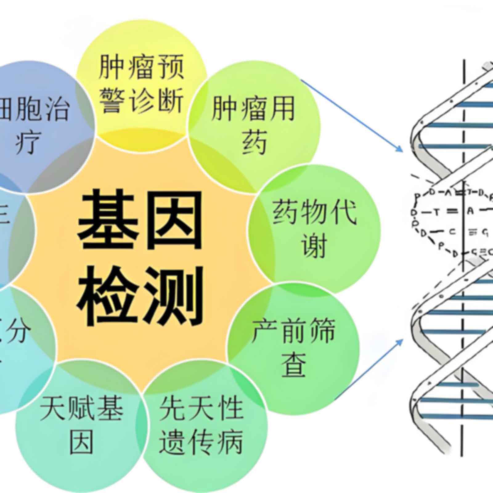 佛山地区无创DNA亲子要多久才能出结果